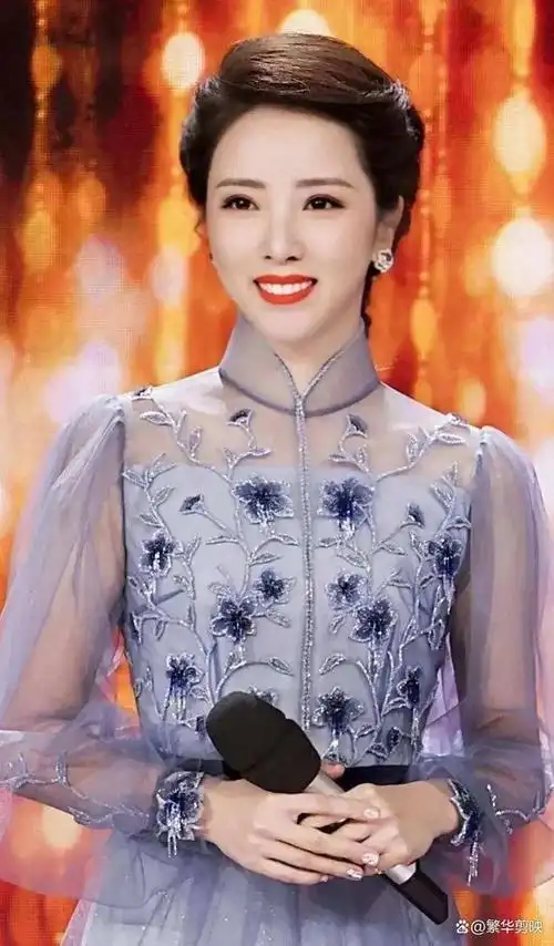 央视十大美女主持人:传承与进化的光辉篇章