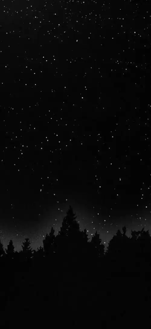 有哪些惊艳的黑色系壁纸