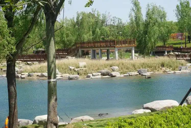 景观草与石头组成自然驳岸.