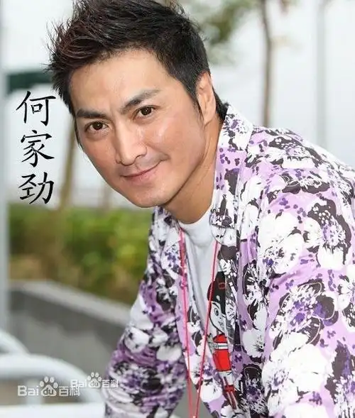 何氏家族家谱网