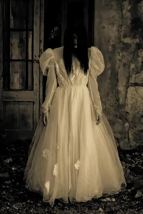 月伴星从江湖印章转采于2019-12-23 17:30:53恐怖的女鬼图片恐怖月伴