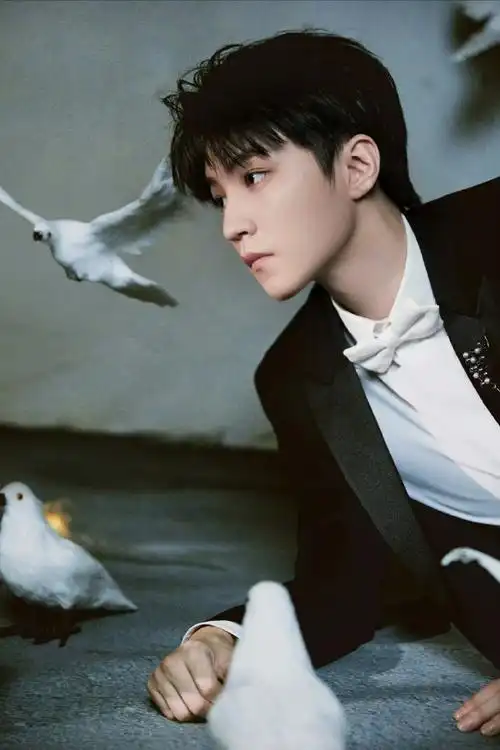 上影节红毯##王俊凯上影节好忙