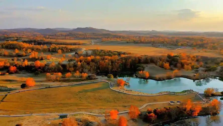 中国最美秋景-河北塞罕坝秋韵