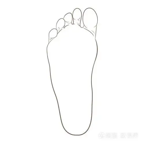 脚唯一的轮廓图插画-正版商用图片0c4jyf-摄图新视界