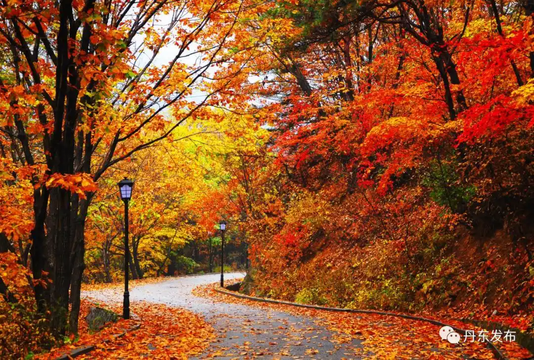 中国北方最美秋景就藏在这座边境之城