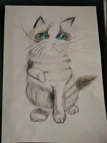 红叶班七年级的绘画作品