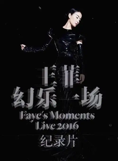 王菲:幻乐一场(纪录片)的海报