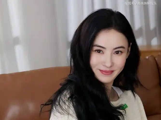 张柏芝与谢霆锋再婚成焦点,十年婚姻终曝光,各自感情归宿引关注_孩子