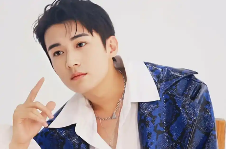 鹅蛋脸男明星代表(鹅蛋脸的中国男明星有哪些)-6