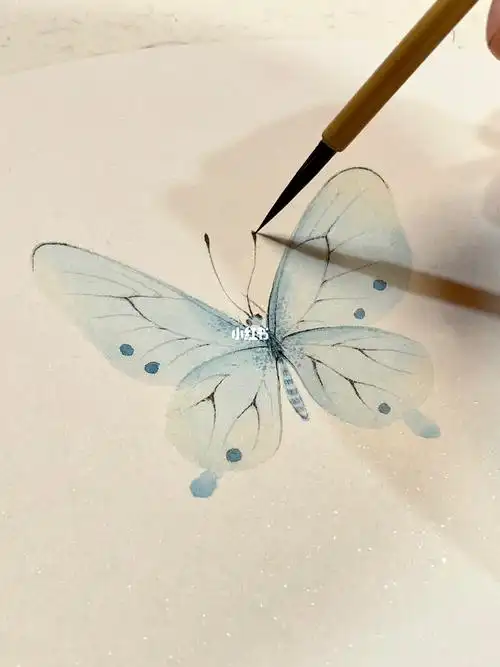没骨蝴蝶绘画过程