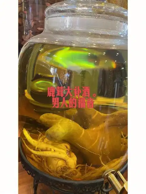 鹿茸大补酒