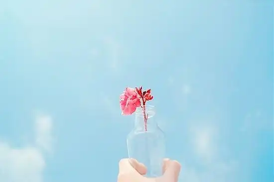 清新意境森系风景图片