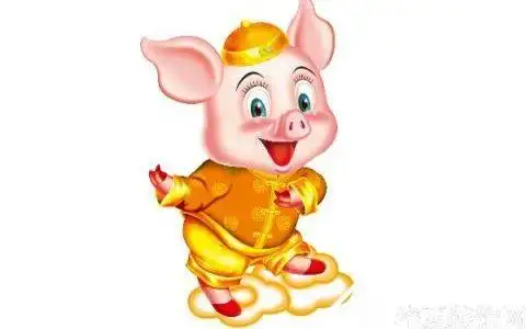 1,1995年nián生肖猪zhū什shén么命mìng 年nián属猪zhū属于yú木