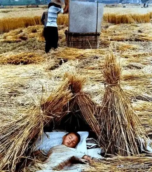 70,80年代中国非常真实的一组老照片,无比怀念美好的儿时回忆