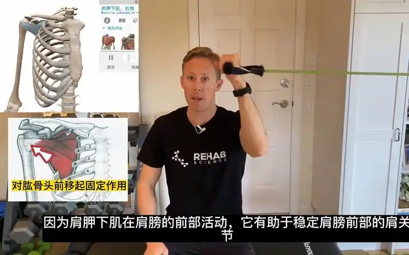 肩胛下肌训练,提升肩袖肌肉力量和稳定性,防脱臼,运动康复