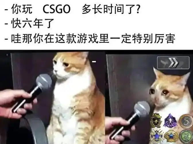 这个表情包绝大多数人都会认为是一个梗,用来调侃csgo玩的时间长又菜