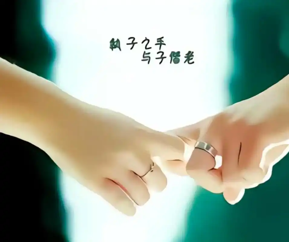 二十周年结婚纪念日.2003.10.1--2023.10.