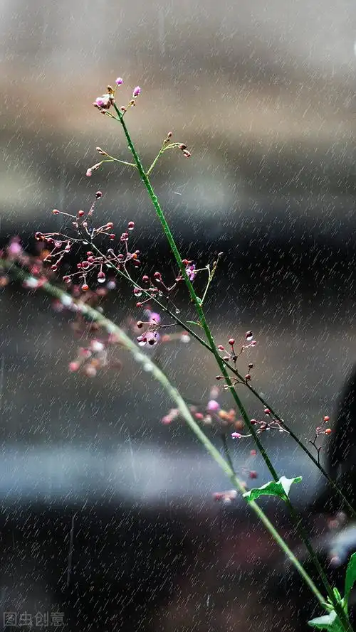 50张唯美禅意风景图片.高清淡雅意境壁纸,让人心静的自然美图