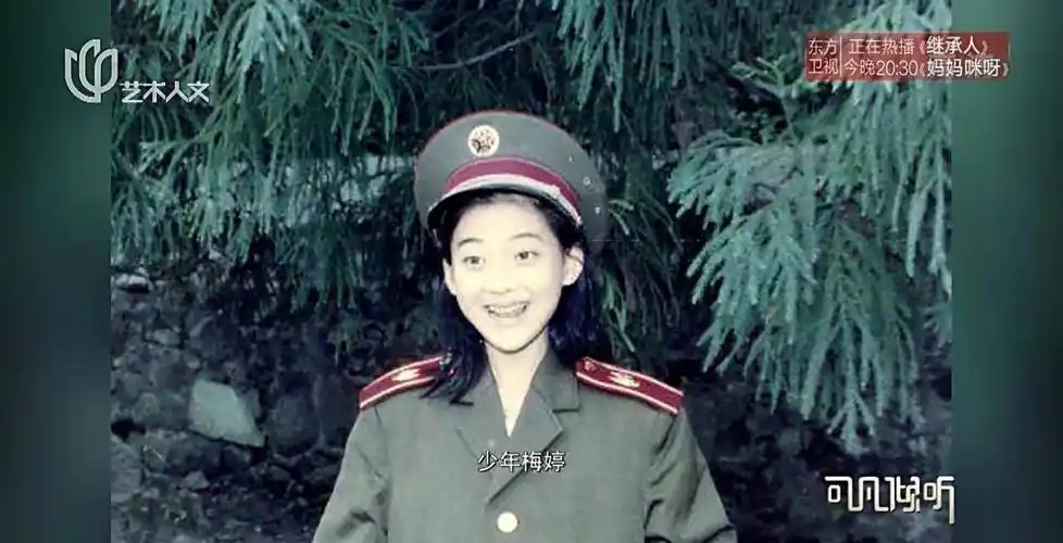 演员梅婷我这辈子最正确的决定,就是40岁高龄为二婚丈夫生二胎_曾剑生