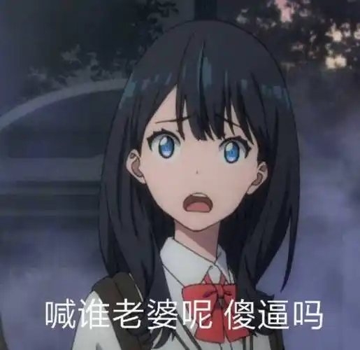 喊谁老婆呢?傻逼吗温馨提示:发现更多好玩有趣表情,就上斗图啦(www.