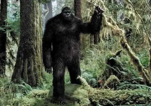 世界多地目击大脚怪,体型高大黑红毛发的恐怖野人 — 世界之最