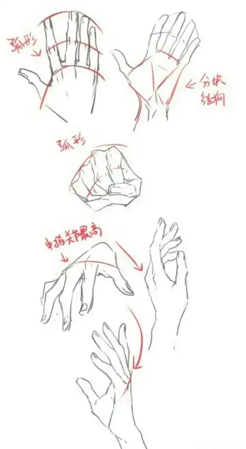 漫画手部练习图动作
