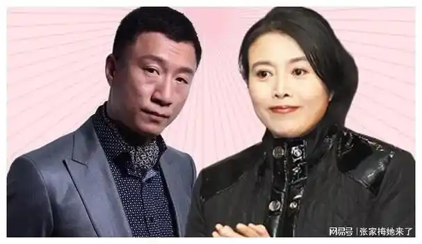 张晋|谢娜|张杰|孙红雷|蔡少芬|赵文卓|丁嘉丽|演艺生涯_网易订阅