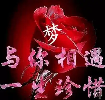 茫茫人海与你相遇一生珍惜