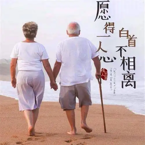 愿得一人心白首不相离