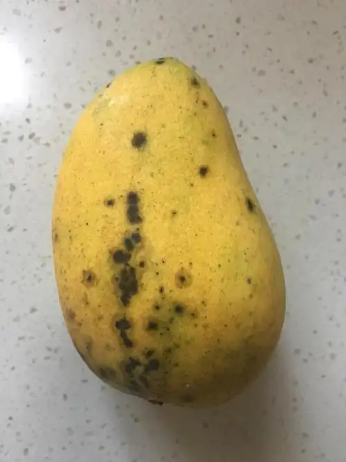 三种芒果千万不要买