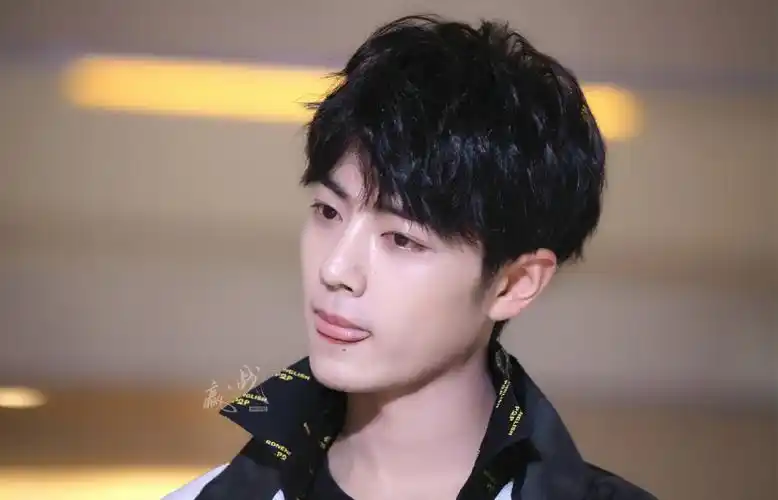 肖战壁纸这世界车水马龙而我只想陪在你身边