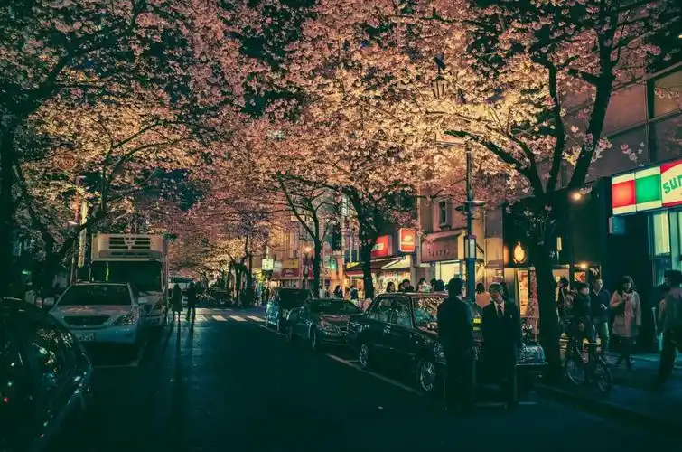 日本摄影师masashi wakui的摄影镜头打破了… - 堆糖,美图壁纸兴趣