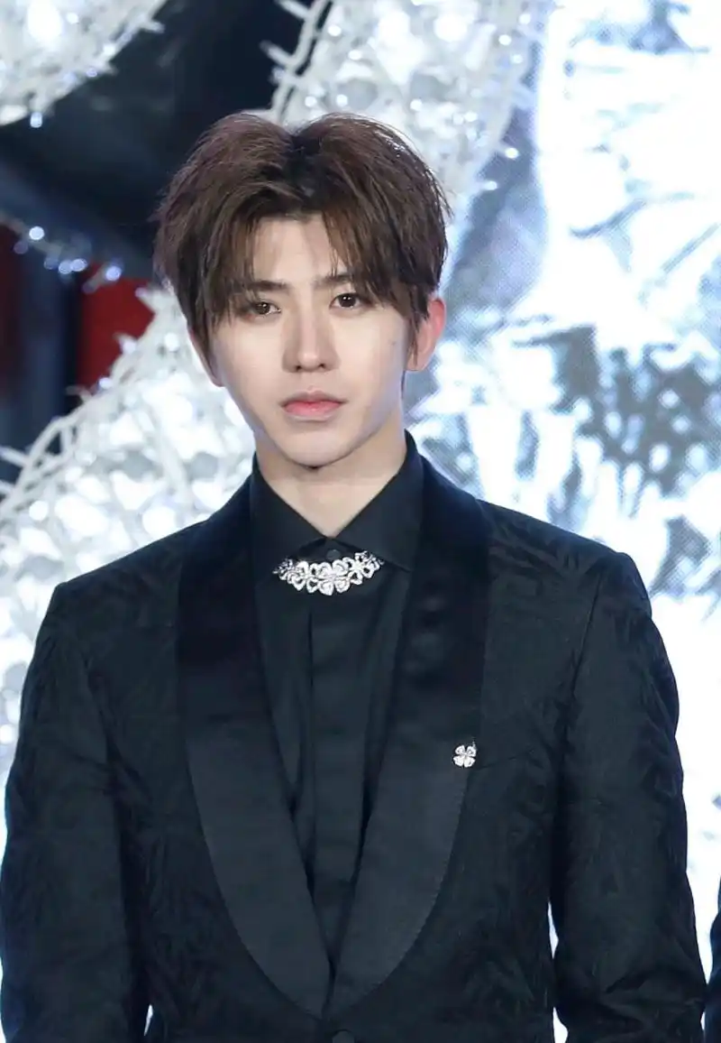 娱乐圈至今颜值最高的几位男明星,肖战蔡徐坤意料中,他让人意外