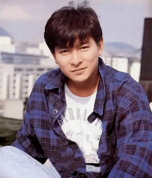 可那天的林安琪表现十分冷淡,只是看着刘德华说了一句:我们分手吧,便