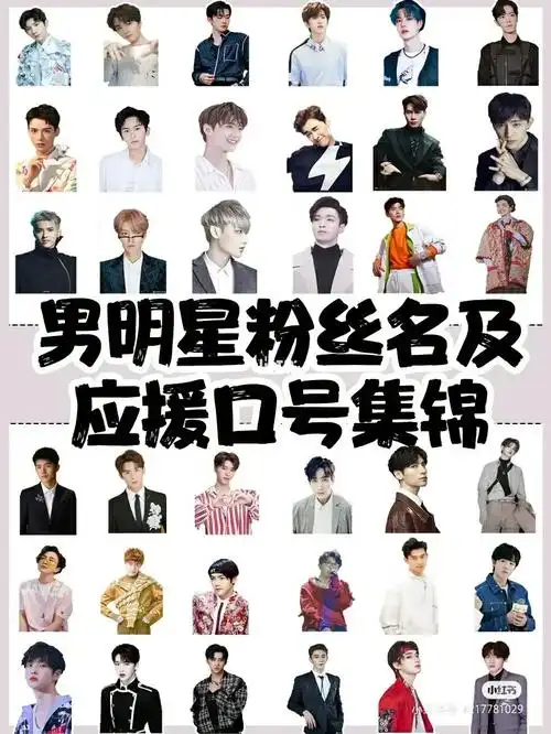 男明星粉丝名和应援口号有你家爱豆吗?_明星资讯_娱乐_明星娱乐资讯