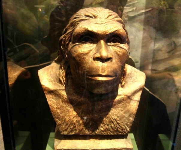 【中华文明史·2】从旧石器时代至700万年前的人类先祖