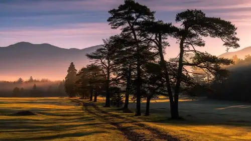 自然与风景,森林和树木原图分辨率:1920x1080下载此壁纸类似壁纸>>