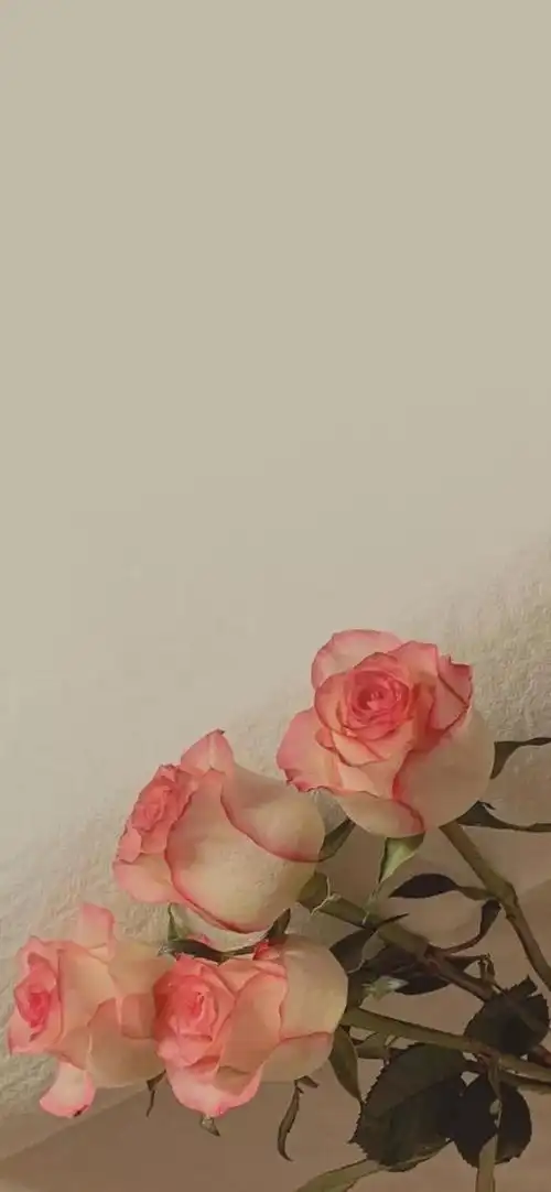 ins复古风壁纸美图呐,ins风格壁纸复古(壁纸小馆:ins风壁纸)