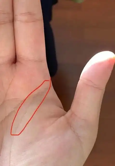 右手生命线(男女一样),如果如图片所示