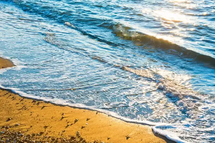 在阳光明媚的海滩上的海浪