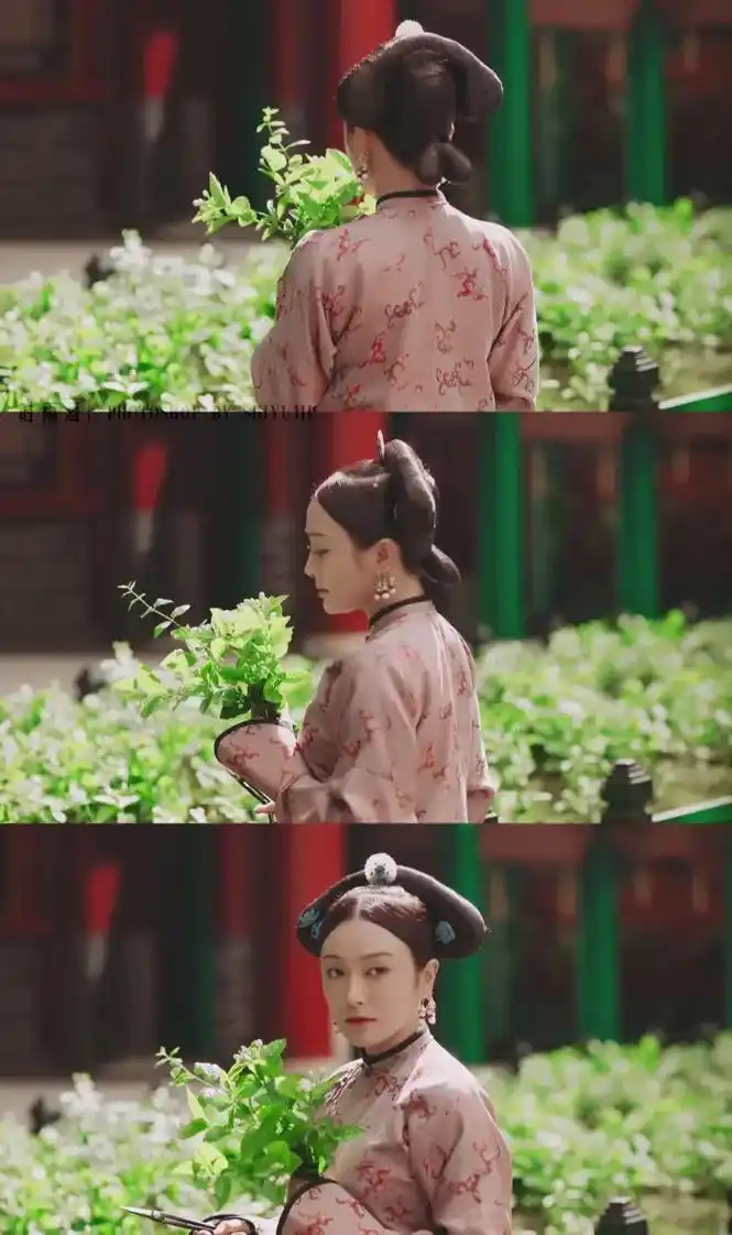 从今往后你只是富察容音#延禧攻略 - 抖音