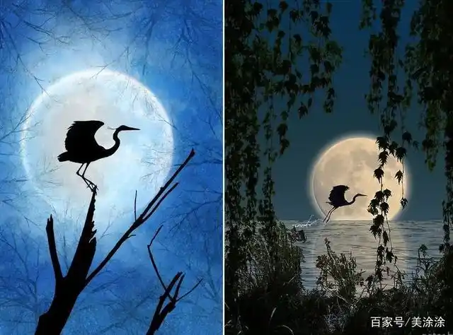 水粉画教程|初级水粉画的冷色调练习——静谧的月下剪影