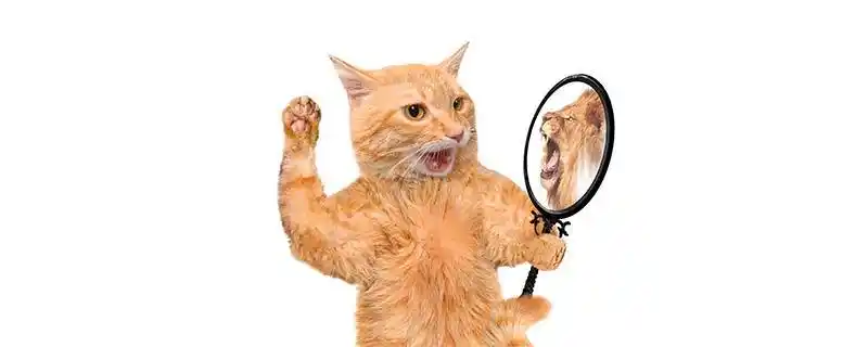 妄自尊大侧重于狂妄,轻视别人,夜郎自大则更侧重于骄傲无知.