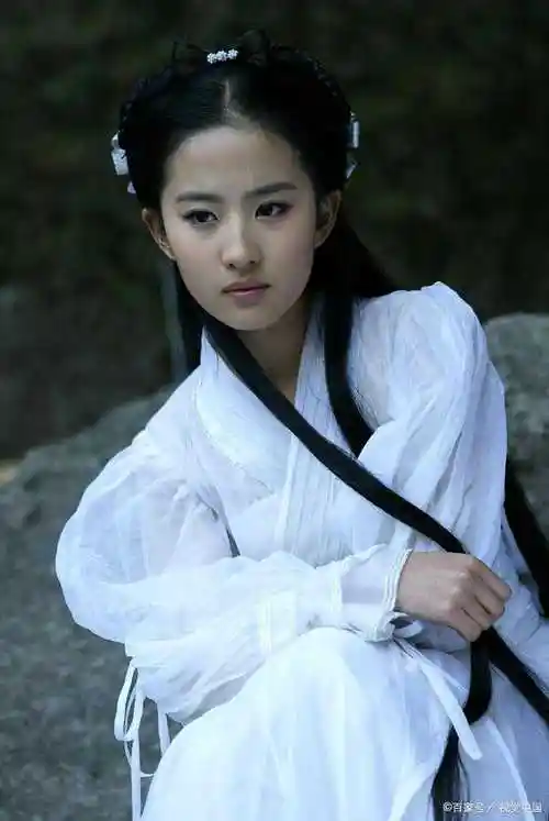 演员阵容包括了胡歌,刘亦菲,安以轩,刘品言,彭于晏等众多明星.