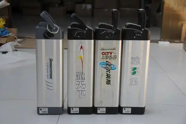 锂电池电动车锂电池电动车十大名牌