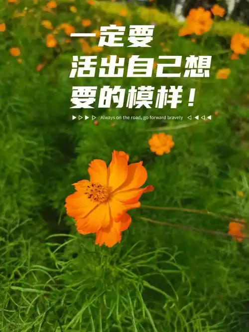 记录40的日子一定要活出自己想要的模样