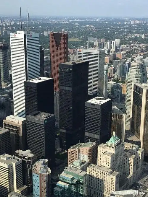 加拿大国家电视塔 多伦多的城区