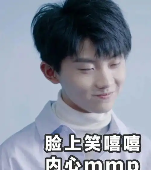 马嘉祺|小马哥滴表情包