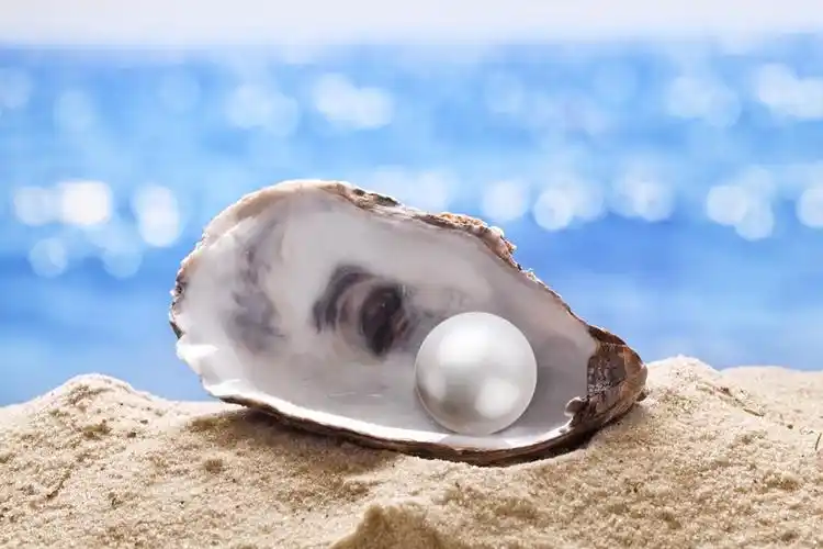 如何评价珍珠的品质