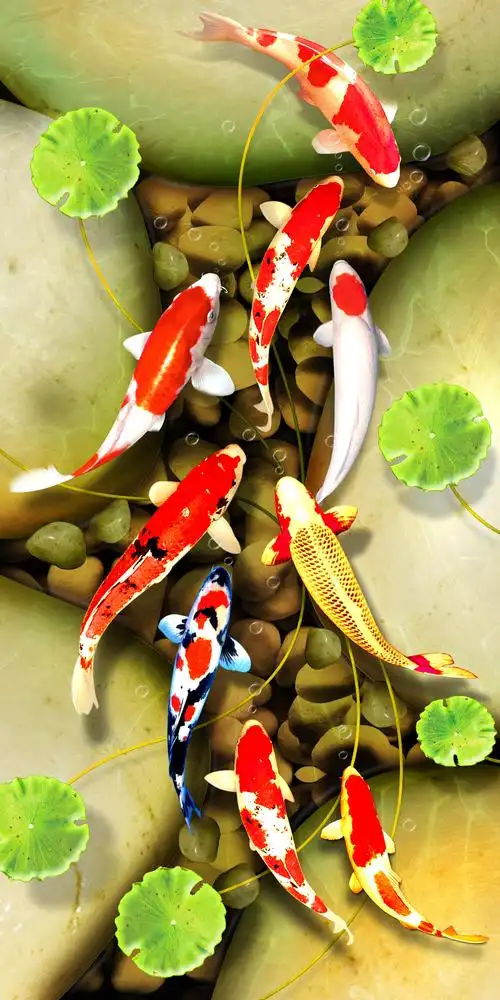 玄关3,荷花,九鱼.